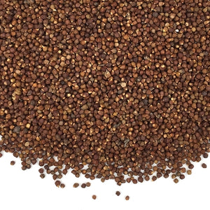 Grains of Paradise - 8 oz