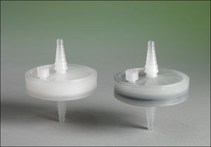 Filter Capsule with Diatomaceous Earth