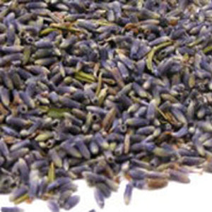 Lavender #1 Quality  - 8 oz.