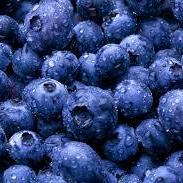 Essence:  Blueberry Natural Flavor - 1 Gallon